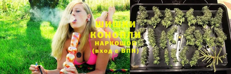 Бошки Шишки Ganja  дарнет шоп  Бодайбо 